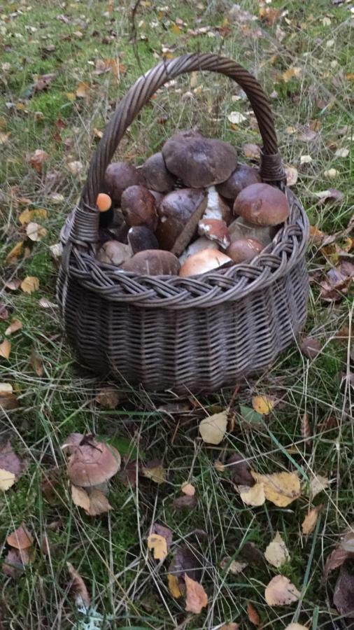Pokoje Przy Warszawskiej Połczyn-Zdrój Exterior foto